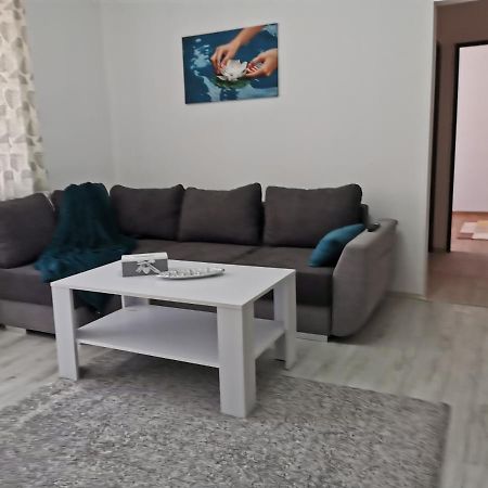 Mediasch Apartments I Mediaş المظهر الخارجي الصورة